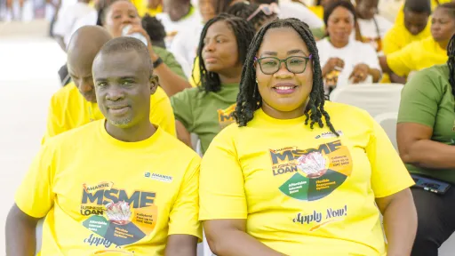 GIZ Ghana project fin products