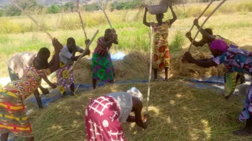 KfW Benin female farmers working