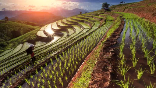 Agricultura y sistemas alimentarios