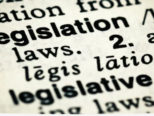 words in on a dictionary page